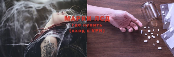 шишки Заводоуковск