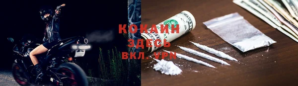 шишки Заводоуковск