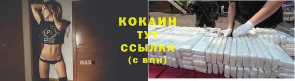 шишки Заводоуковск