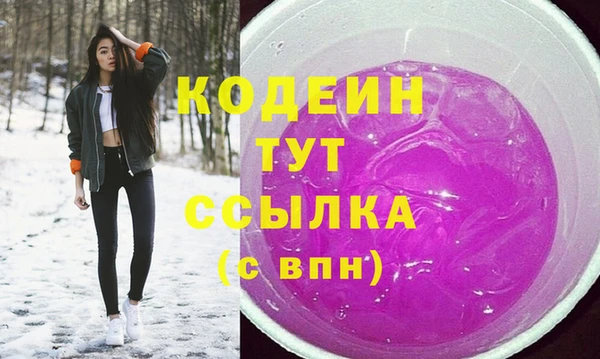 шишки Заводоуковск