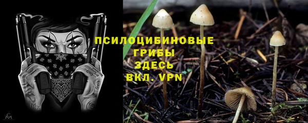 круглые Заволжск