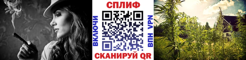 Купить где  Нязепетровск  Каннабис Bruce Banner 